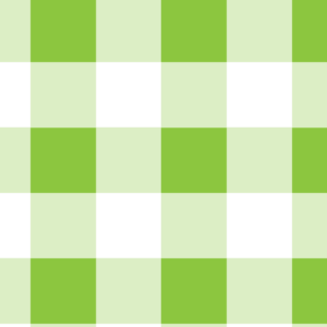 Light Green Gingham Canvas