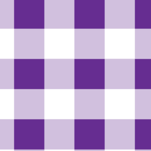 Purple Gingham Canvas
